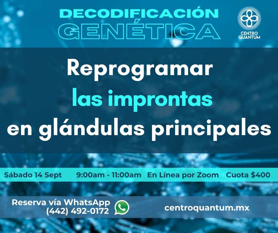 14 Sept – Decodificación genética “Reprogramar las improntas de glándulas principales”