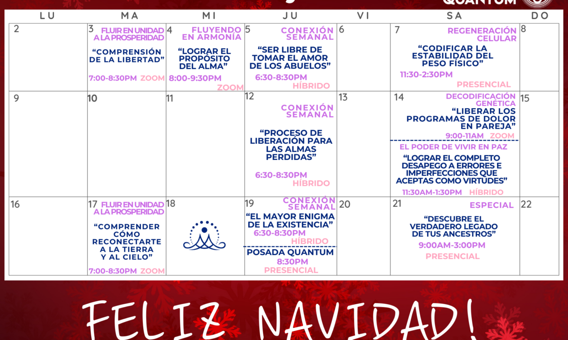 Calendario de Actividades Diciembre 2024