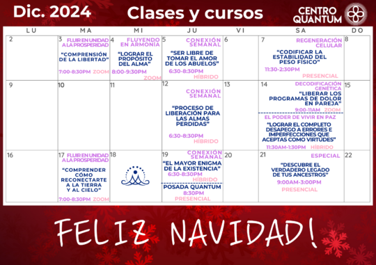 Calendario de Actividades Diciembre 2024