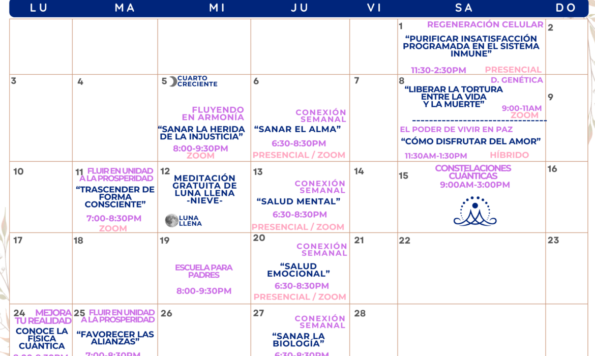 Feb 2025 – Calendario de actividades