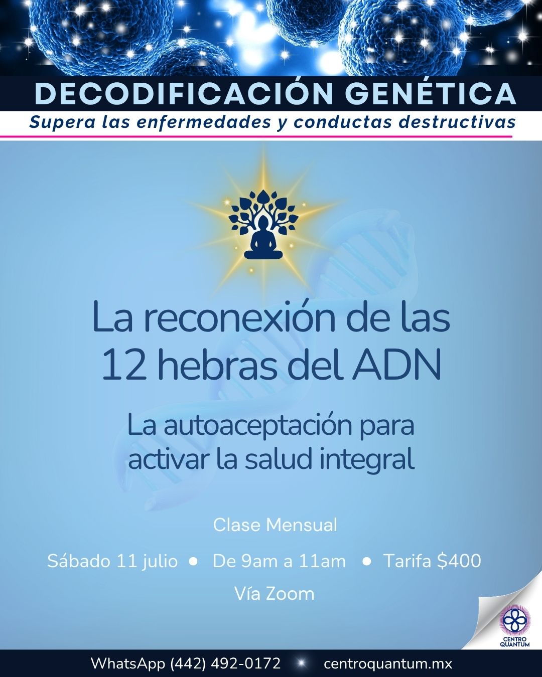11 Julio – La reconexión de las 12 hebras del ADN.